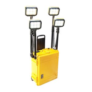 9470 Remote Area Lighting System
