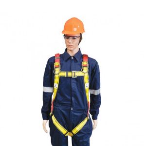 Premium Harness Twin Shoulder Anchor [With Adjustable Shoulders]