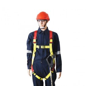 Standard Harness Twin Shoulder Anchor